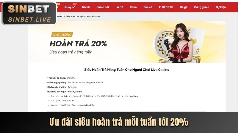 Phân tích ưu đãi mới nhất của betvn casino